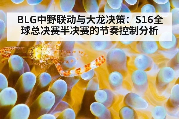 BLG中野联动与大龙决策：S16全球总决赛半决赛的节奏控制分析